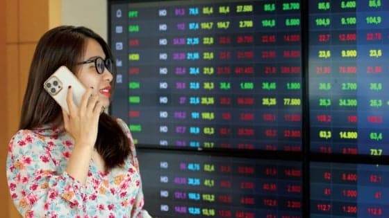 Is Vietnam’s stock market cheap enough to invest?