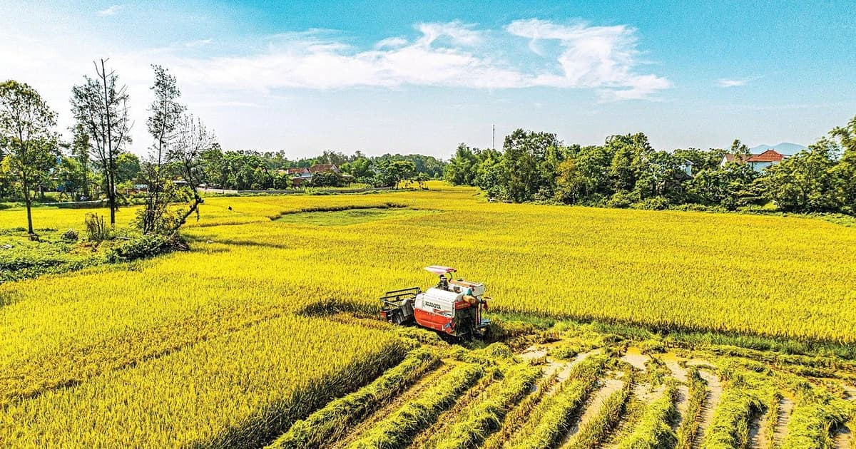 Vietnamese agriculture after 40 years of Doi Moi: From food shortages to a pillar of the economy