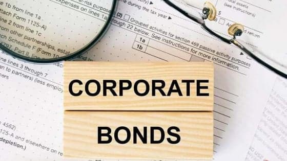 Vietnam Government Inspectorate names companies in private placement bond violations