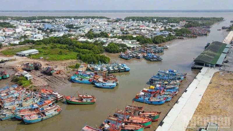 Dong Thap accelerates development of marine economy