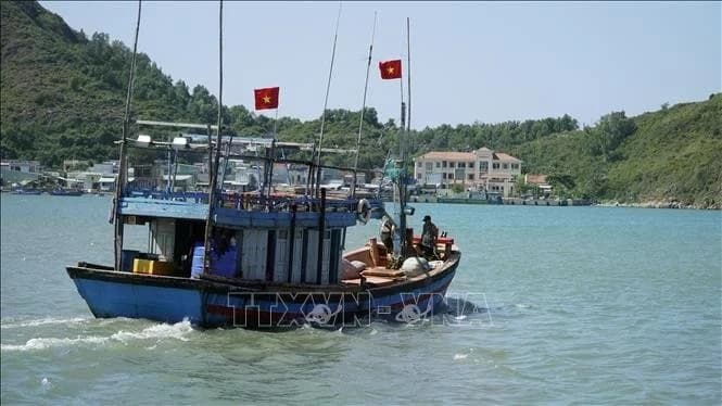 Viet Nam intensifies efforts to have EC's 'yellow card' on seafood exports lifted