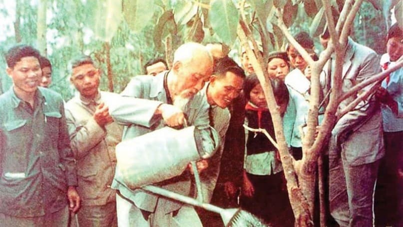 From “Tree-Planting Festival” to Net Zero 2050 mission