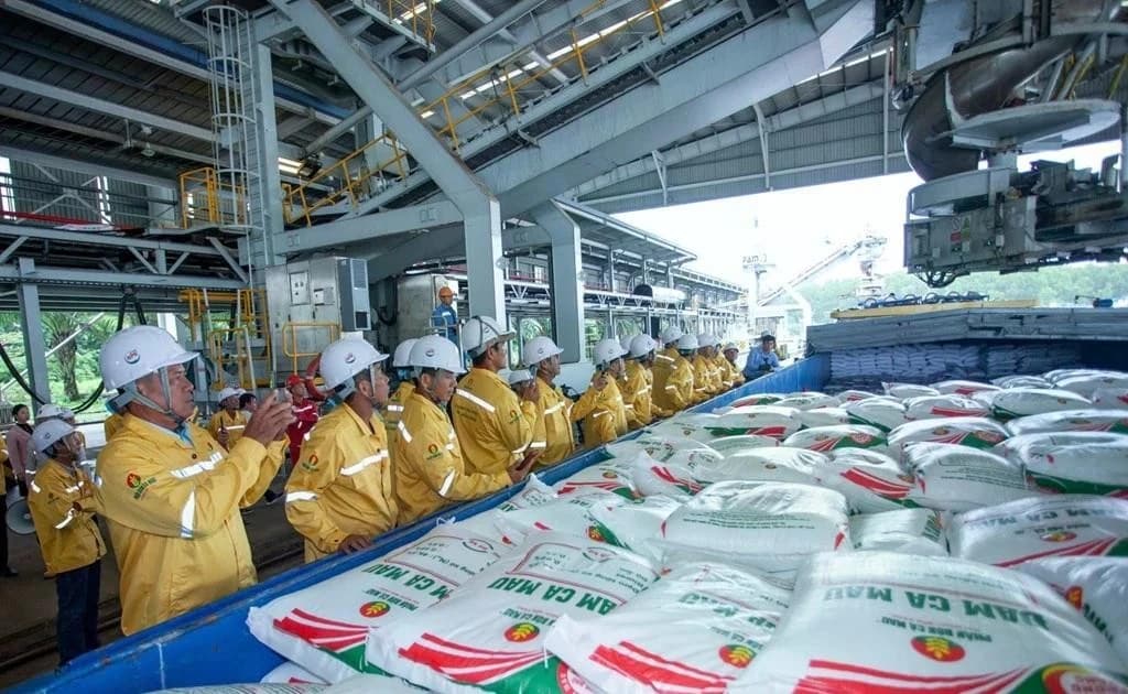 Vietnamese firm successfully exports first 40,000 tonnes of fertiliser to US