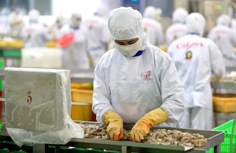 EU digital catch rules: Key notes for seafood exporters