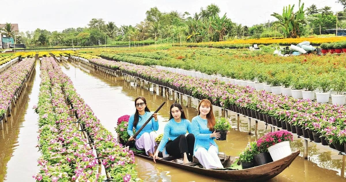 Sa Dec flower village shaped by diligent hands