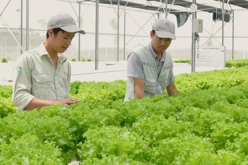 A transition from a social safety pillar to a launchpad for development