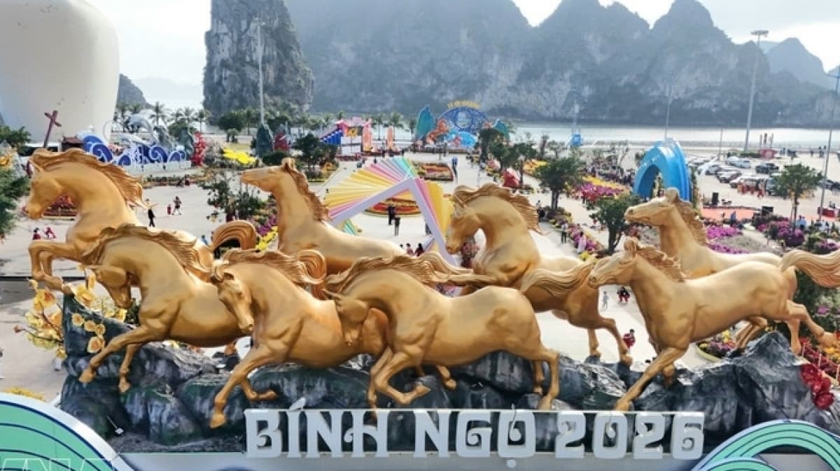 Digital innovation spurs tourism growth in Quang Ninh