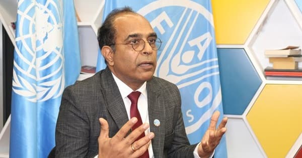 FAO: Viet Nam moves towards a more modern, sustainable and high-value agricultural sector