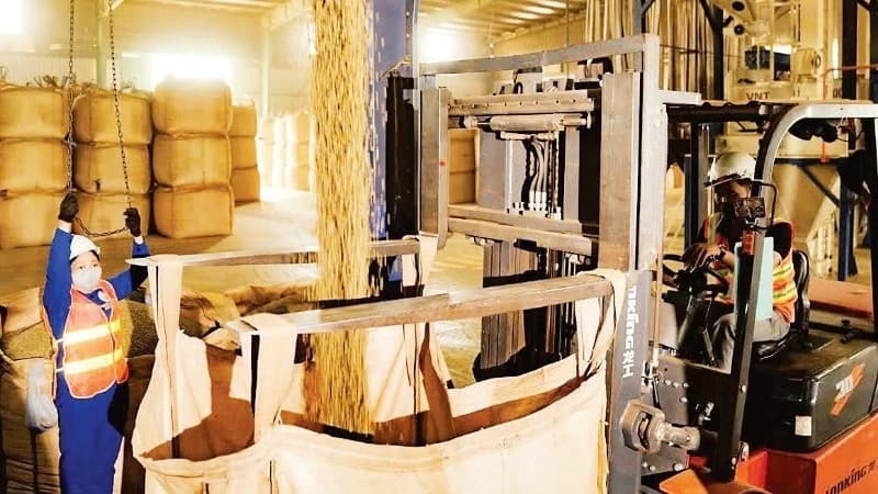 Viet Nam’s farm exports sustain growth momentum