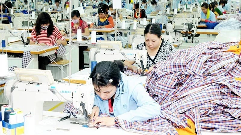 Momentum and strength for new growth cycle