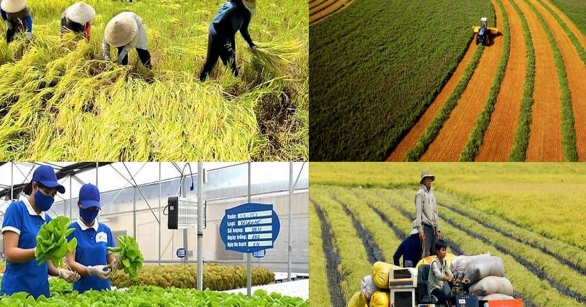 Vietnam’s agriculture sector in face of Middle East conflicts