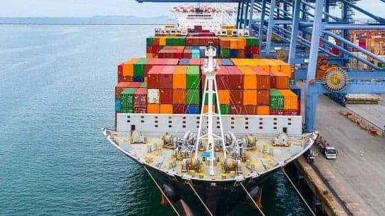 Vietnam’s agricultural boom hobbled by high logistics costs, experts urge system overhaul