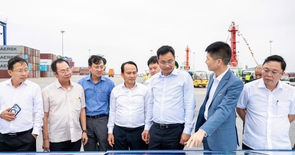 Da Nang Party Secretary verifies Hateco's investment capabilities for "mega-project" of Lien Chieu Container Port