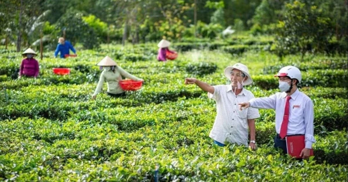 Green credit: Key driver of new growth model