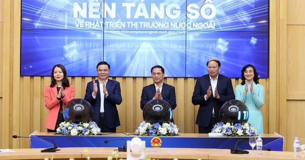 Digital platform for overseas market development makes debut