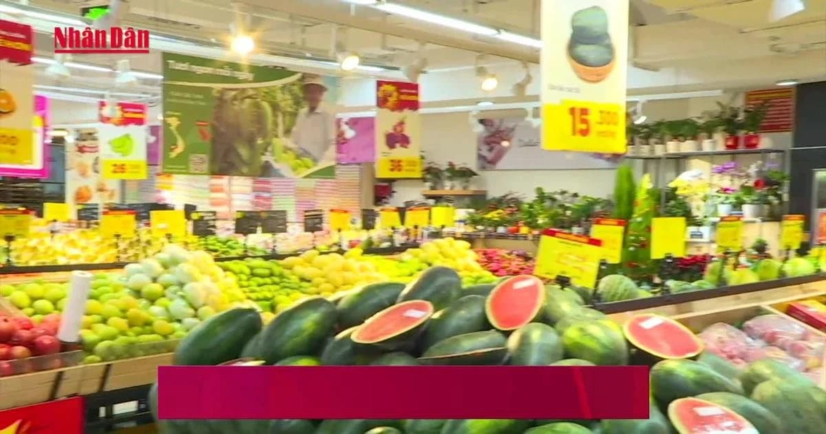 Sustainable domestic consumption promoted in 2026