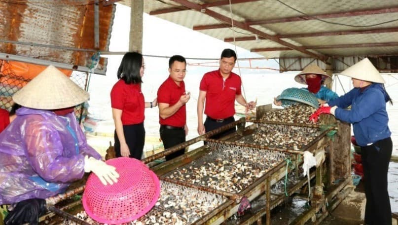 Maintaining flow of people’s credit funds for collective economy