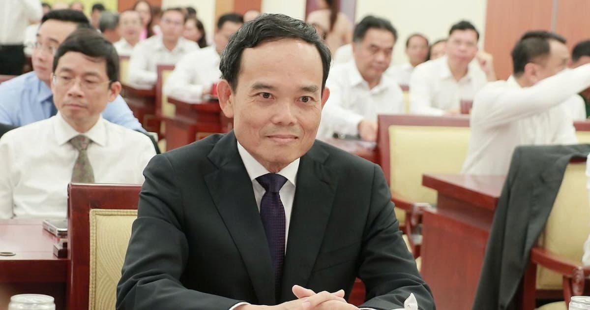 HCMC establishes steering committee for Special Urban Law project