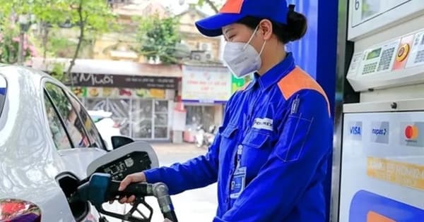 Finance ministry proposes 50% reduction in environmental protection tax on energy