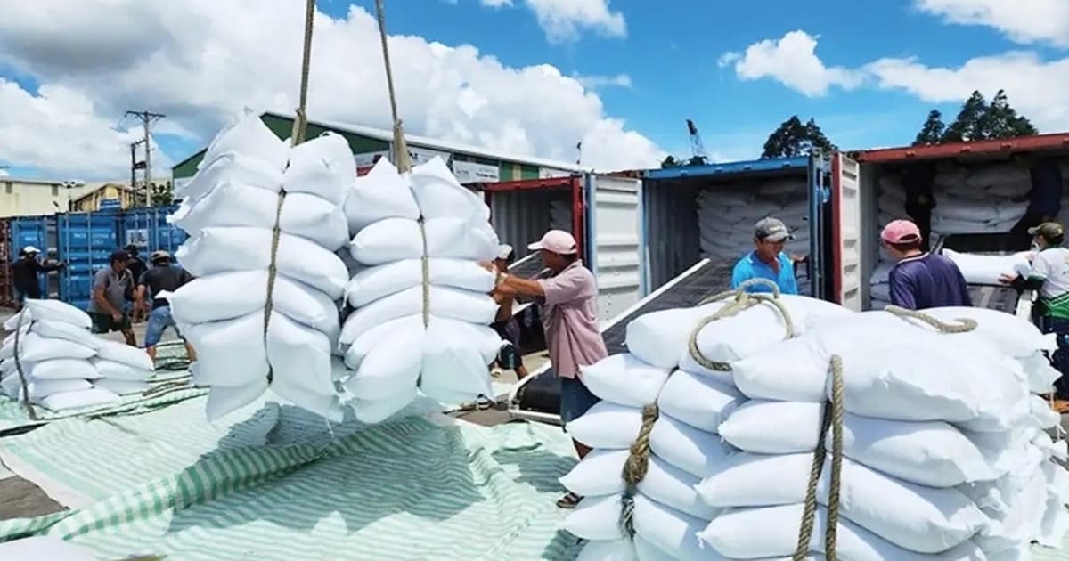 Senegal emerges as a promising hub for Vietnamese rice exports in West Africa