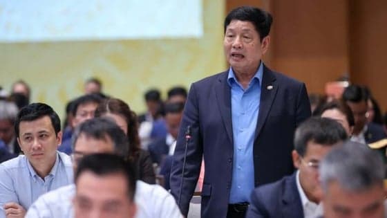 Vietnamese firms need to go global to sustain high growth: FPT chairman