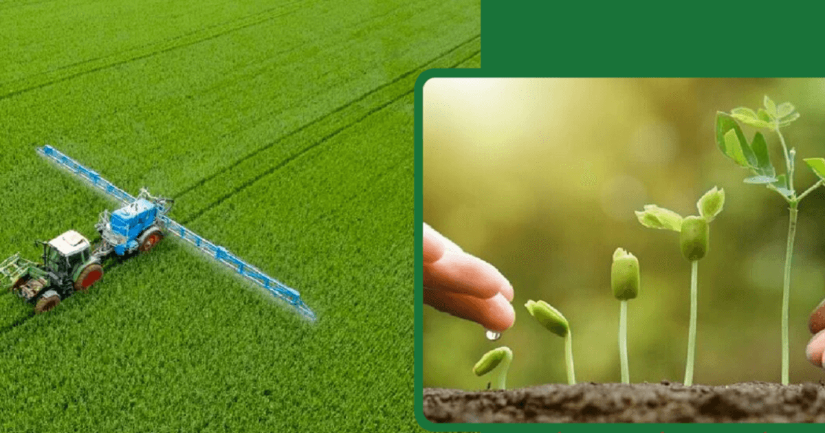 Green transition in the fertilizer industry