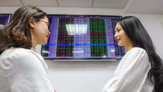 VN-Index volatility prompts calls for disciplined investment approach