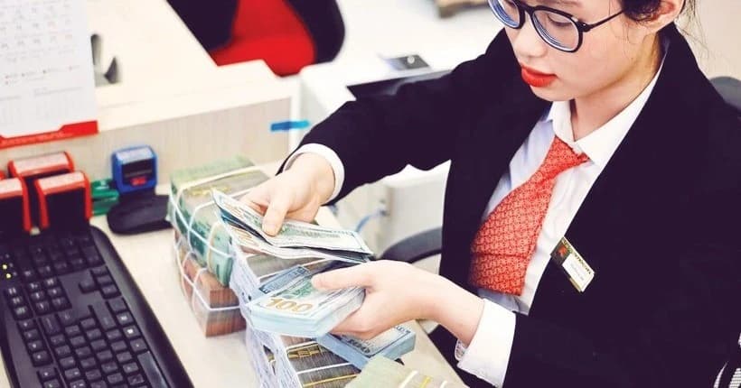 Viet Nam strives to keep exchange rate stable amid global volatility