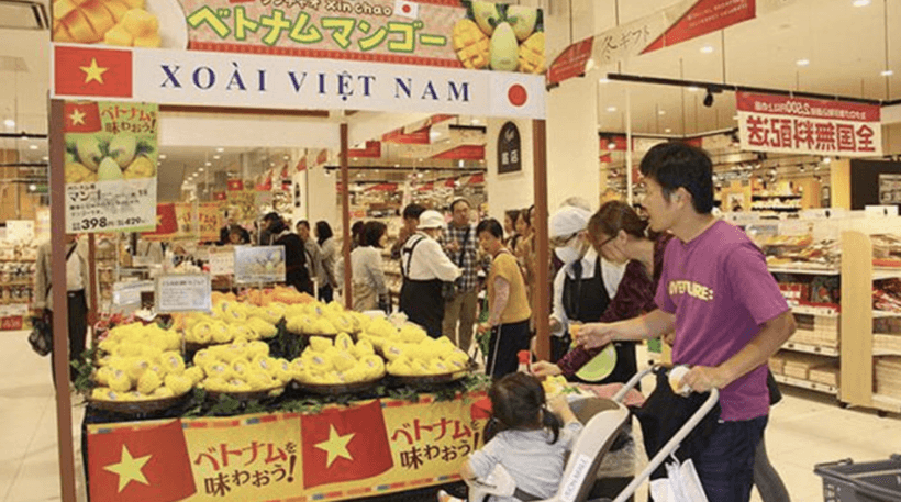 Prime Minister pushes global distribution of Vietnamese goods