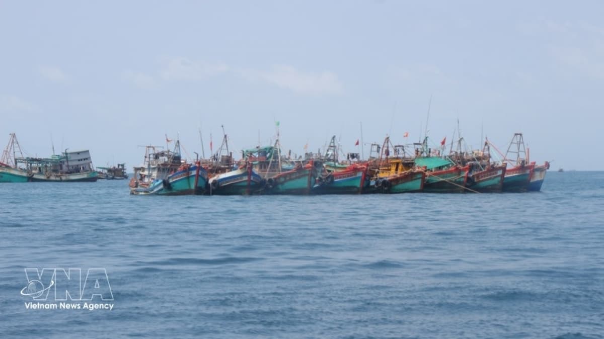 Vietnam enhances efforts to address IUU fishing in line with EC recommendations