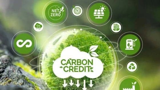 Vietnam opens door to international carbon credit trading