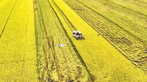 Agricultural sector on path to reducing emissions