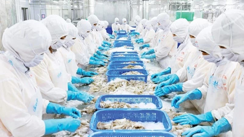 Maintaining export growth momentum