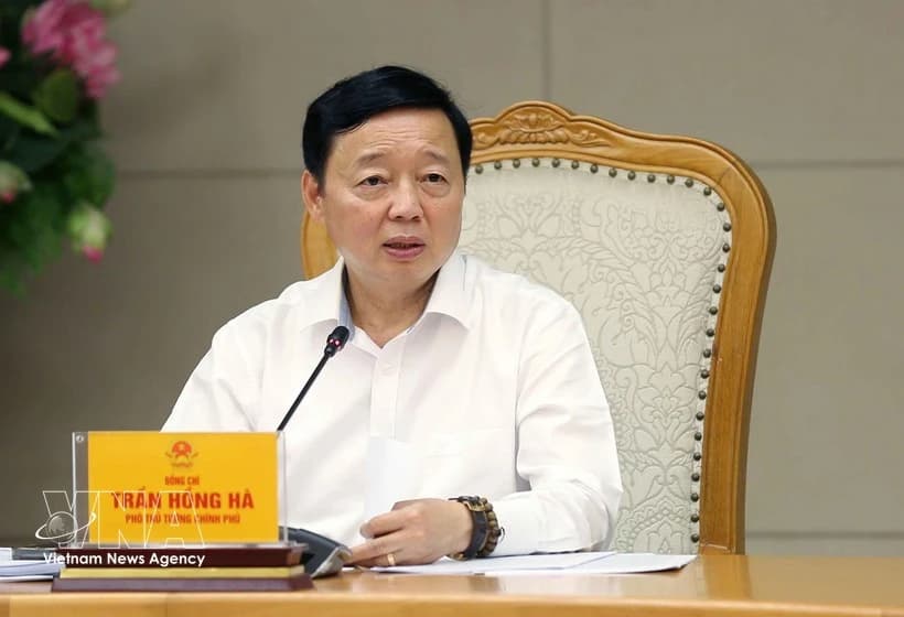 Viet Nam steps up crackdown on IUU fishing, implementation of EC recommendations