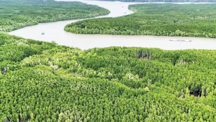 Mobilising resources to participate in carbon credit market