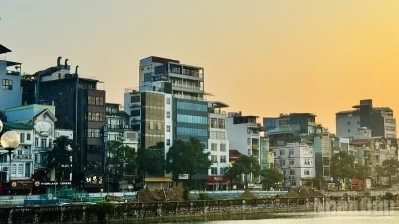 Property remains a long-term store of wealth despite cyclical interest-rate pressures: Experts