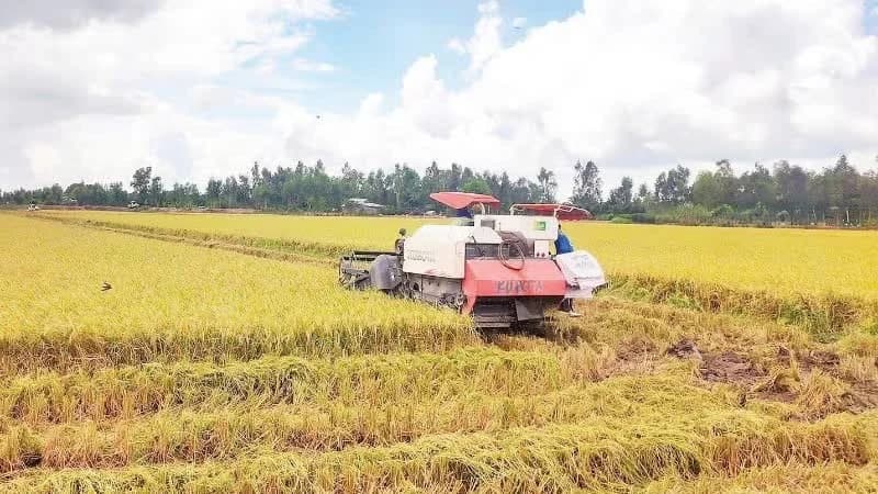 Curbing decline in export prices of agricultural products