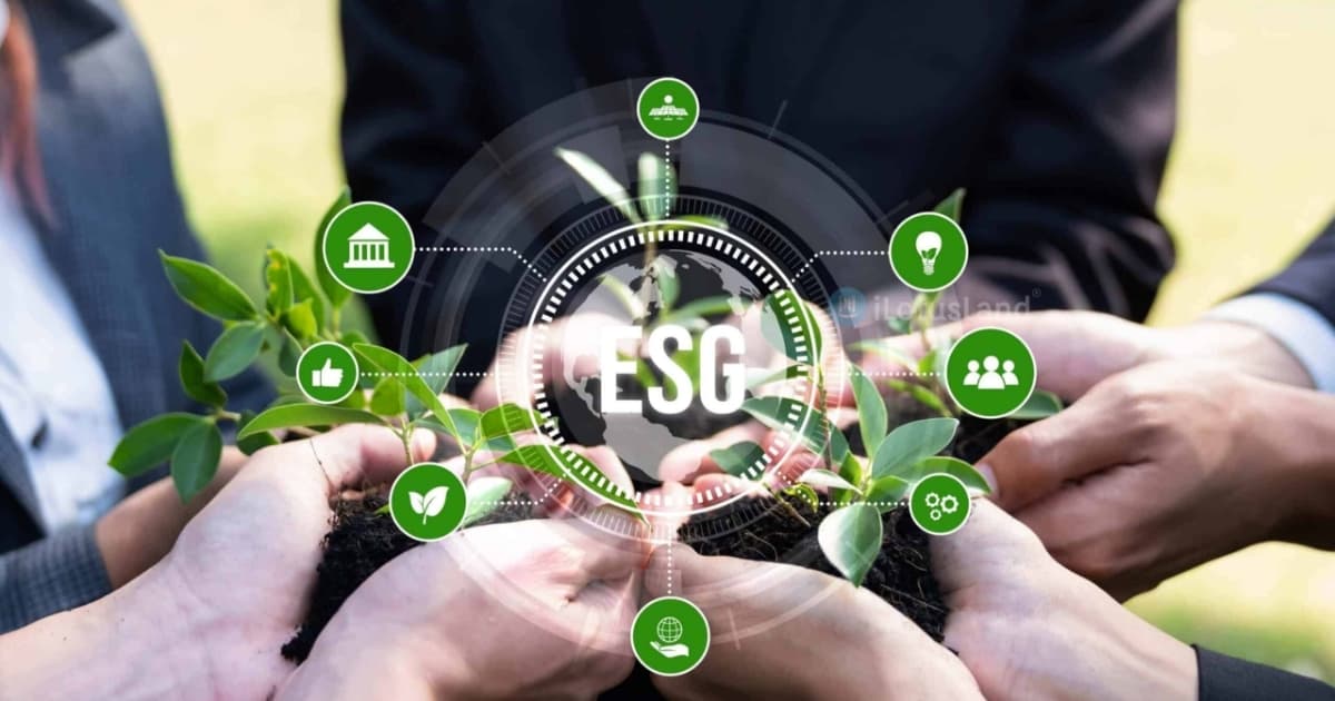 A roadmap for Vietnamese SMEs to meet ESG standards