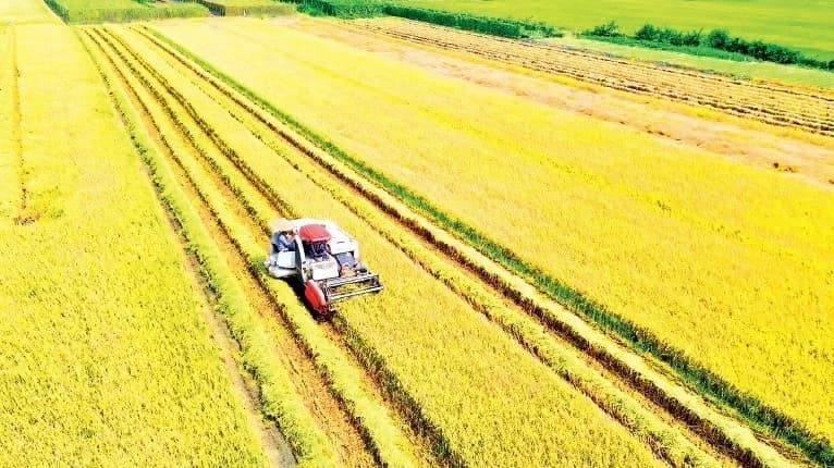 Fuel prices test resilience of agricultural sector