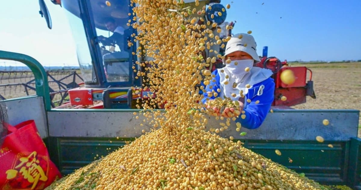 Vietnam’s agro-forestry-fishery imports hit nearly $12 bln in Q1 2026