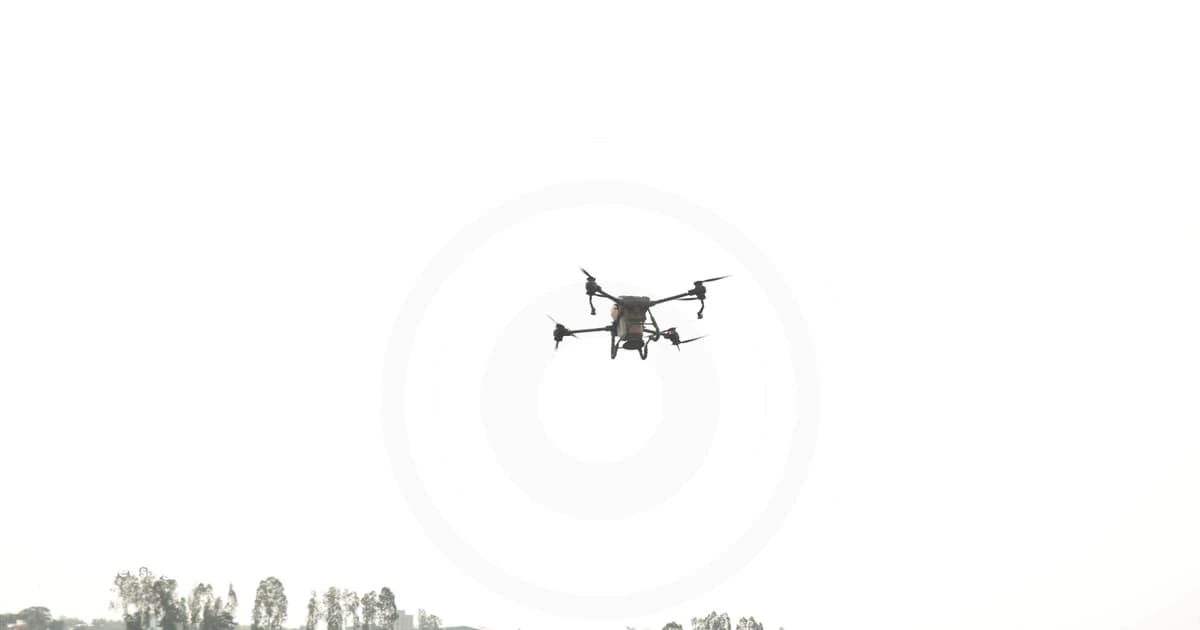 Low-altitude economy emerges as new growth driver for Vietnam