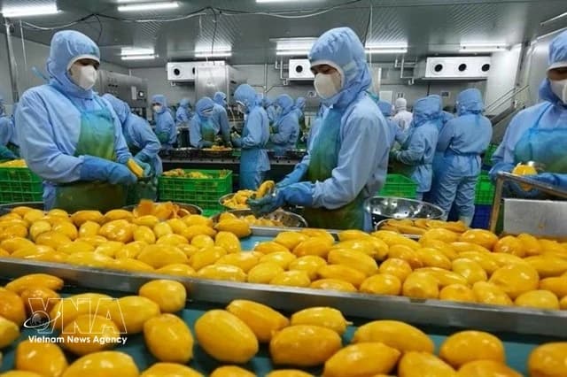 Vietnam turns challenges into opportunities: World Bank