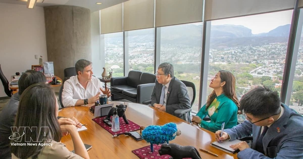 Vietnam promotes trade connectivity with Mexico’s Chiapas state