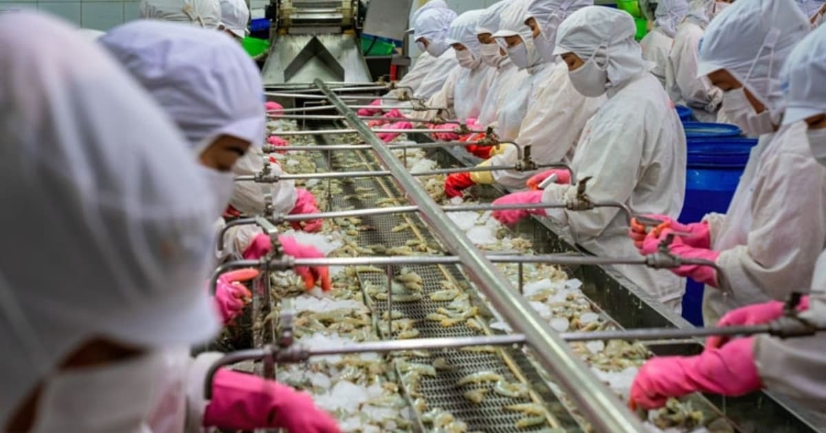 Higher requirements on agro exports to the EU