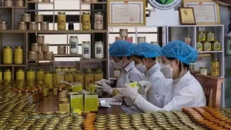 Focusing on vocational training for rural workers