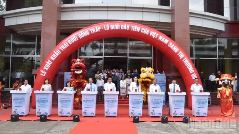 Dong Thap exports first shipment of pomelos to Australia