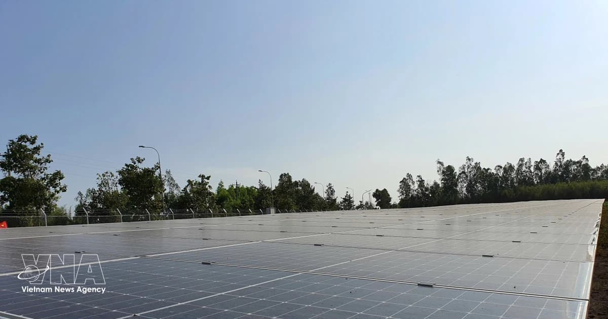 Vietnam emerges as bright spot of adaptation amid global turbulence: Malaysia-based economist