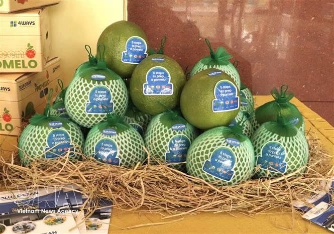 Dong Thap exports first pomelo shipment to Australia