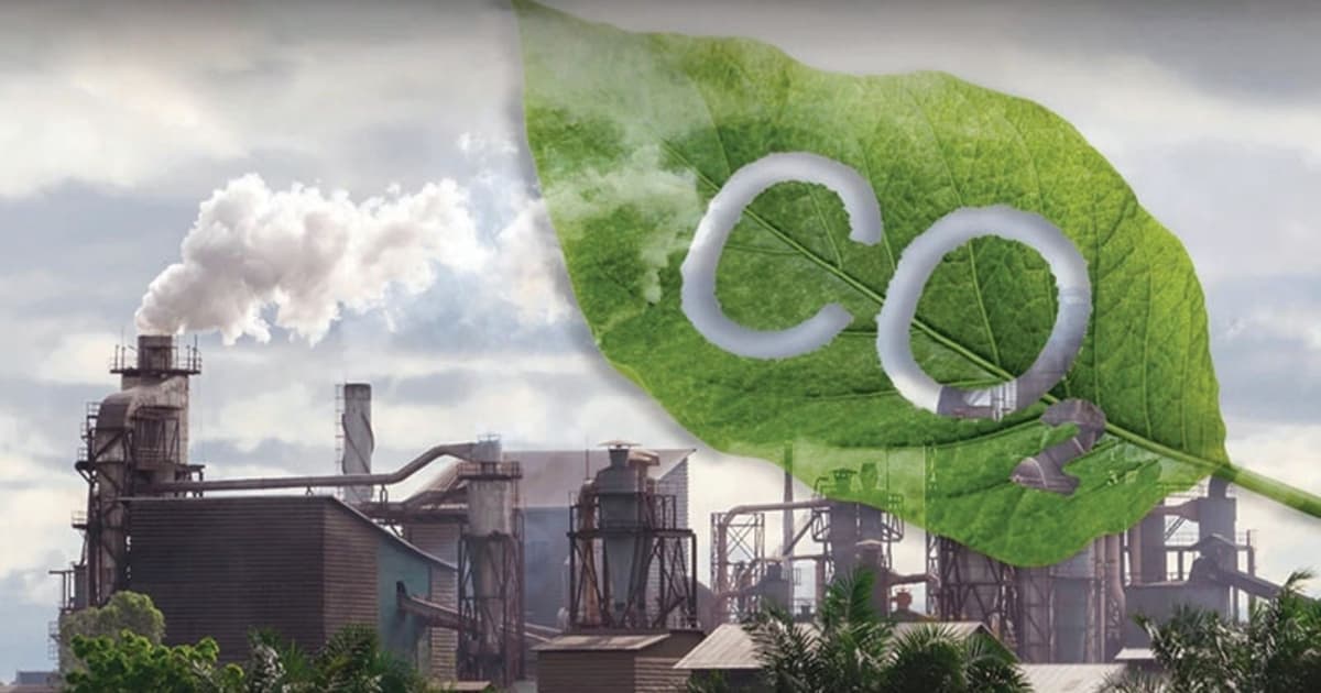 Businesses prepared for emerging carbon market