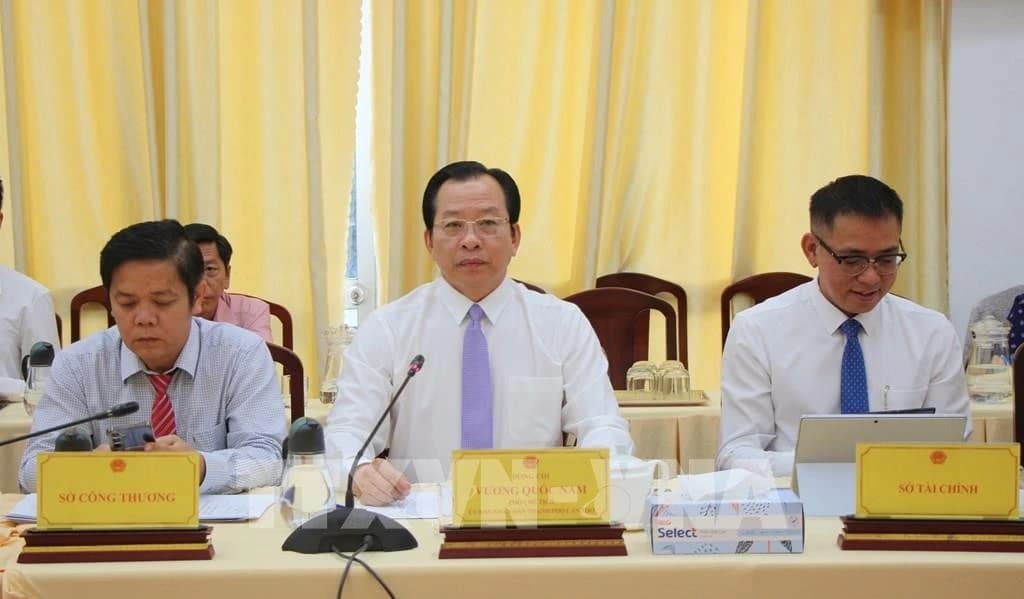 Can Tho cooperates with Japanese firms to develop clean energy project